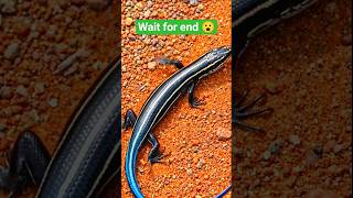 “ये 5 facts सुनने के बाद तुम दुनिया को पहले जैसा नहीं देखोगे… आखिरी वाला सबसे खतरनाक है 😳” #shorts