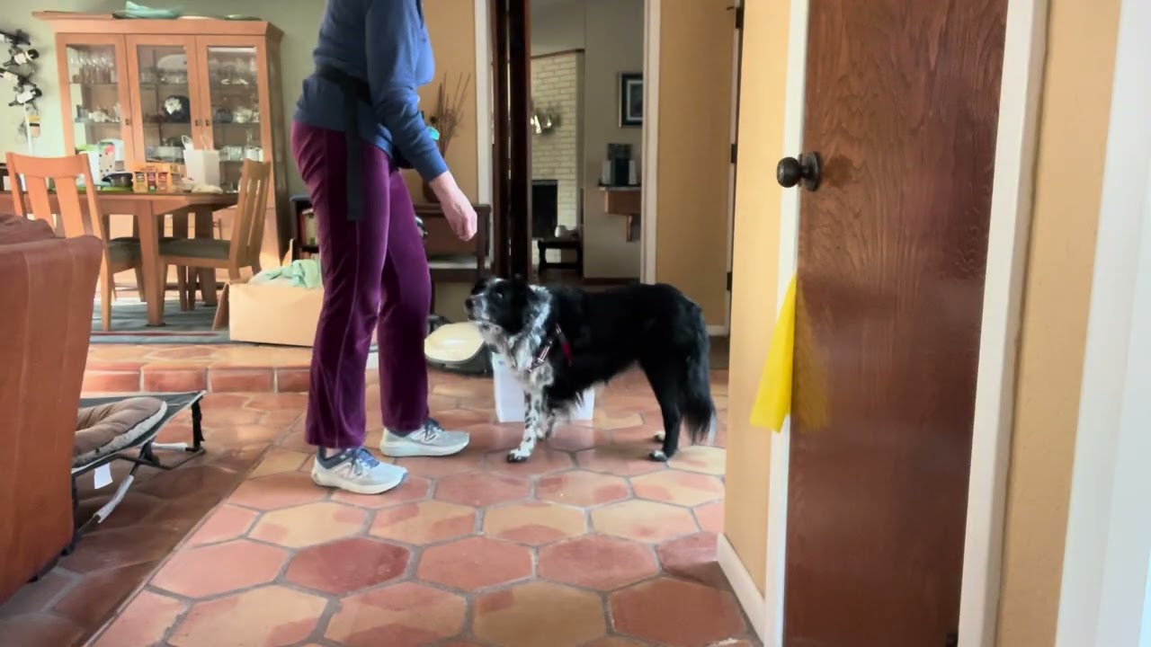 Added Low Level Trigger to D-Box Practice 