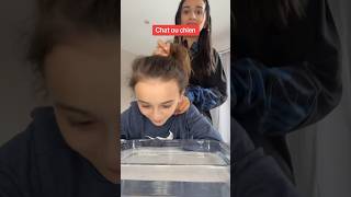 Saucisson ou stitch #shortvideo #merefille #betises #sister