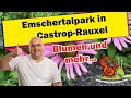 Rennschnecken Emschertalpark 29.06.2023
