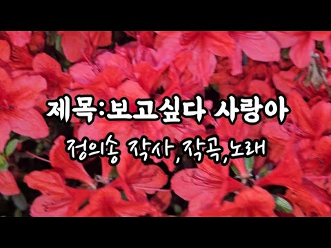 [정의송 TV - 보고싶다 사랑아] (한겨레 작사,정의송 작곡,정의송 노래)