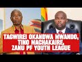 Tagwirei Okandwa Mwando Tino Machakaire ZANU PF Youth League 