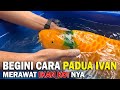 Tidak hanya merawat air bakteri sangat penting untuk kesehatan ikan koi