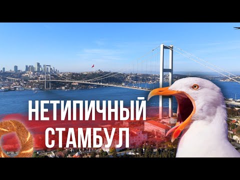 Что посмотреть в Стамбуле: ТОП нетуристических мест
