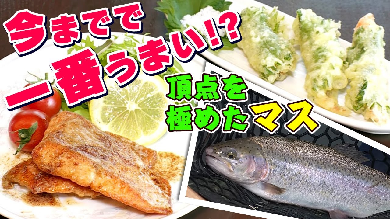 GO!GO!九ちゃんフィッシング #476　「梅田湖のニジマスは頂鱒！（後篇） 最高級マスの特別料理？」