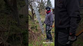 Drabina Krause Lekka, Dziadowska I Tylko Dla Fanów Ciepłych Bułek