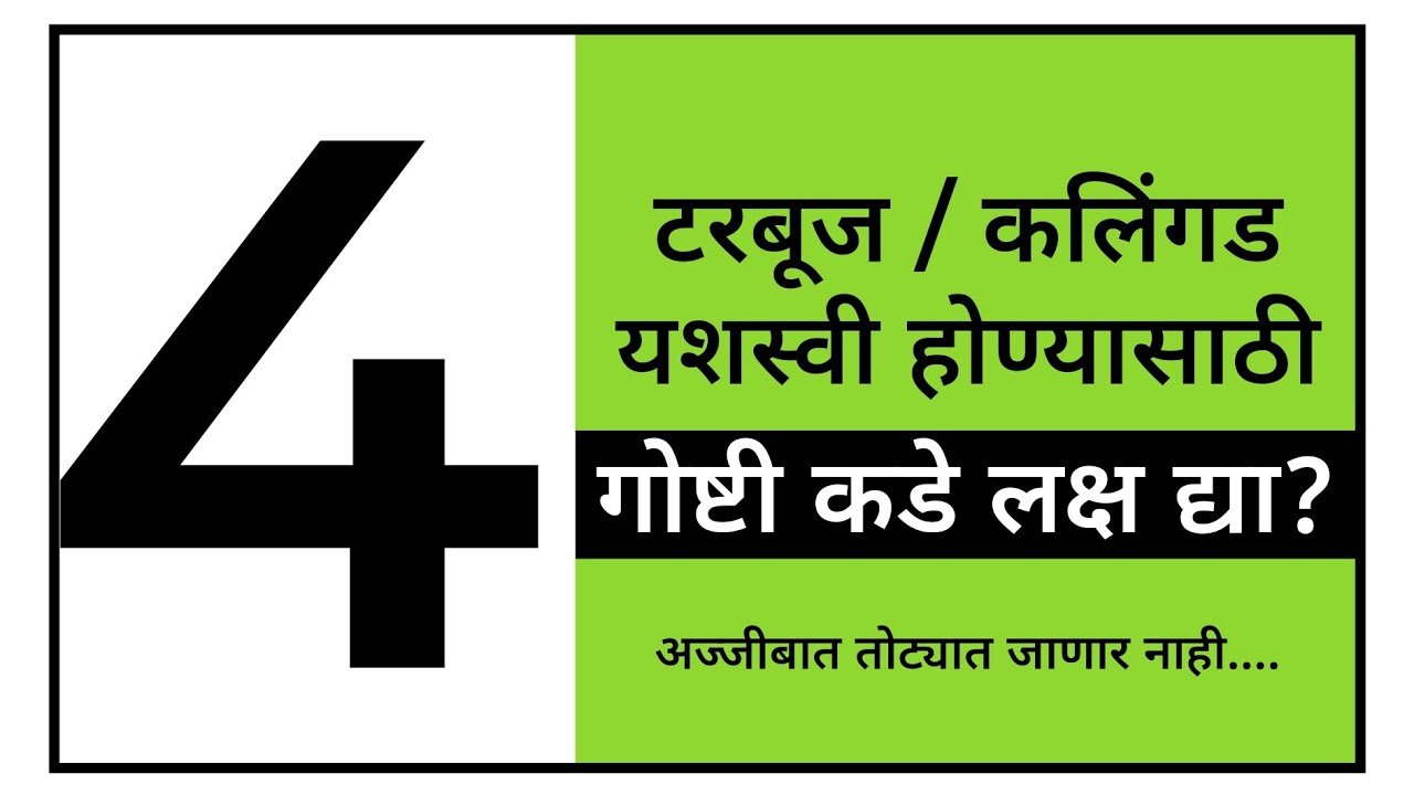 या 4 गोष्टी कडे लक्ष द्या? टरबूज /कलिंगड शेती तोट्यात जाणार नाही? #कलिंगड #टरबूज #watermelon#borgave