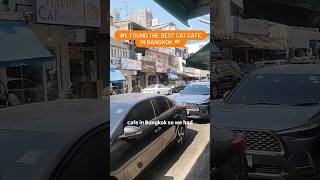 Is this the best cat cafe in Bangkok? Is this the best cat cafe in Bangkok?