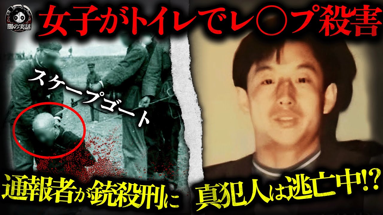 【衝撃】「お前ら間違えた、俺が殺した」喉を絞め服を剥ぎ、女子トイレで性的暴行‼ 通報者が銃殺刑、真犯人は10年逃亡し17件の殺人を犯す...⁉【闇の実話ミステリー】
