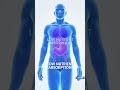 @SeniorNutritionSecrets #healthtips#Healthsecrets# Takecare of your body parts #healthtips..