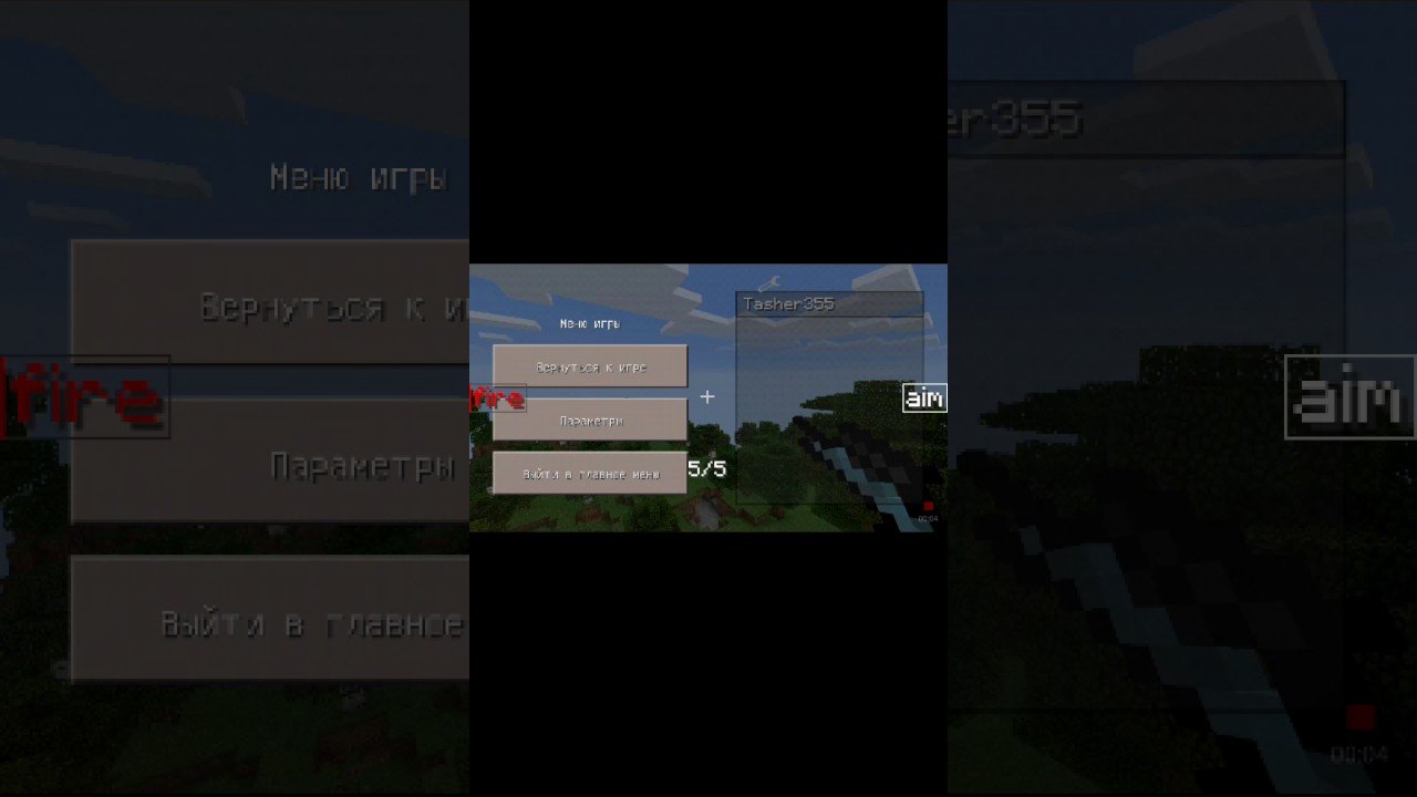 Обзор мода (DesnoGun)