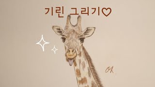 #그림그리기 #기린그리기 미술학원 가지 않고 기린그리기. giraffe drawing. キリン描き.