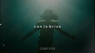 foudeqush - con la brisa (slowed   reverb)