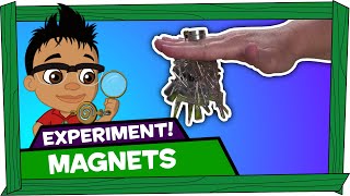 Kid Experiments: Testing Magnets - Darwin and Newts
