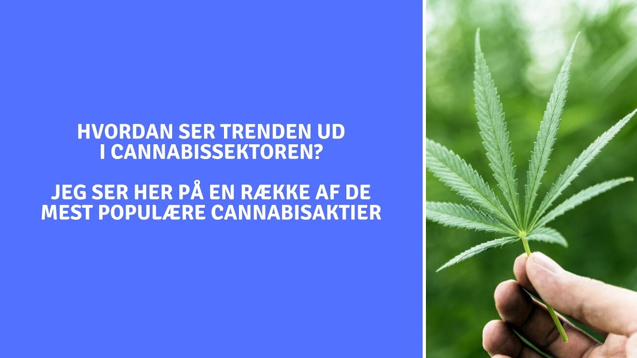 Trenden er klar i Cannabis-sektoren