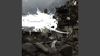 Video thumbnail of "Assemblage 23 - Ground (Acoustic Version)"