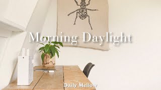 기분 좋은 바람을 실어 나르는 로맨틱한 노래 - Morning Daylight | Daily Mellow