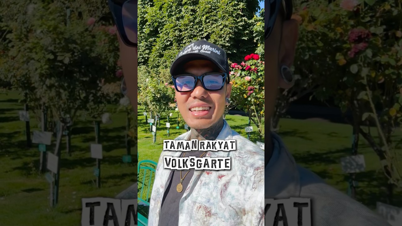 Sunday was just chill in Vienna 