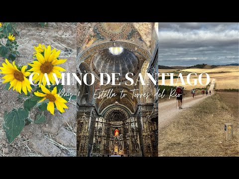 Day 8 | Camino de Santiago 2022 | Estella to Torres del Rio | 30km