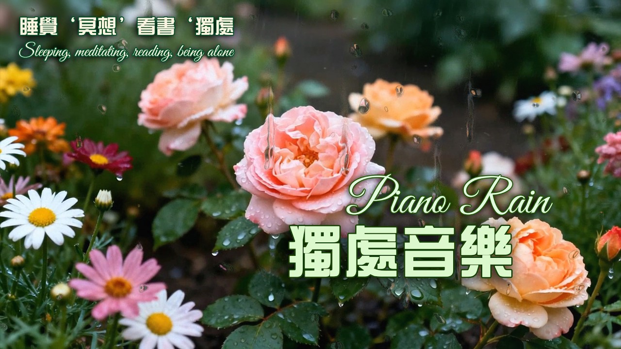 只想一個人靜靜聽｜深度療癒鋼琴音樂 1小時 釋放壓力 獨處必備 #music #relaxing #放松 #冥想 #睡眠 #轻音乐