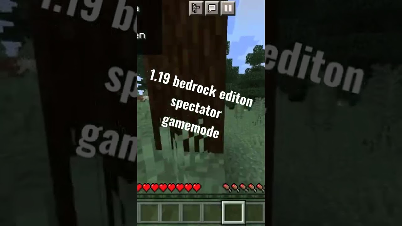 1.19 spectator gamemode bedrock editon