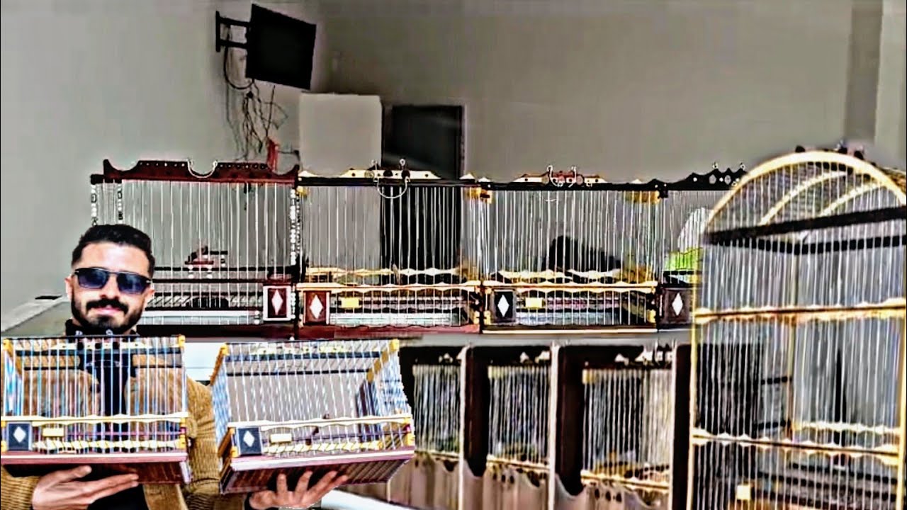 جديد أجمل أقفاص الخشبية 2024🇲🇦 مع الفنان وصانع الأخ ايوب