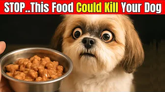 22 Everyday Foods That Could Be Killing Your Dog – And You Serve Them With Love