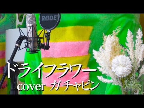 優里 - ドライフラワー　歌ってみた