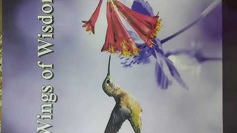 Class-5, Subject-Moral Science, Video-7, Prayer,Revision of unit-1 by Mrs Jyoti Sharma