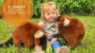 Jr. ZOOKEEPER meets MONKEYS, TIGERS and TORTOISE !