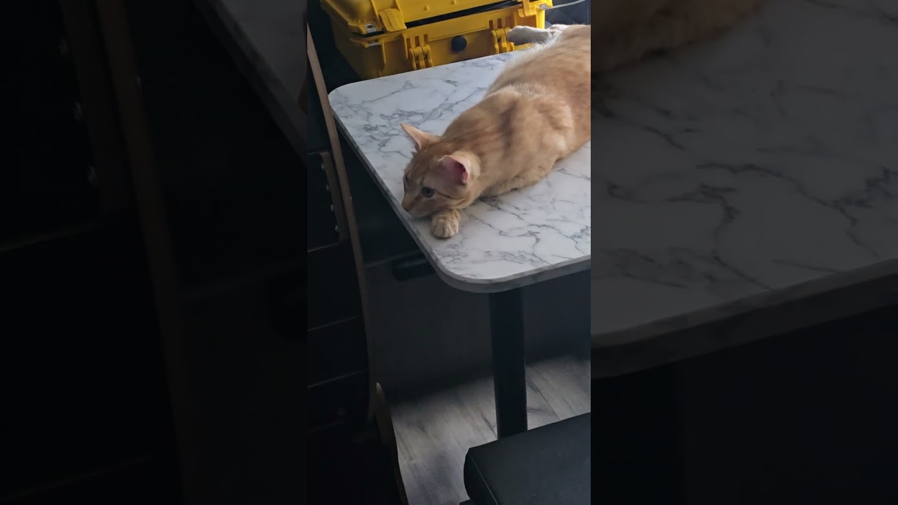 iOptron cem26 + asiair.plus. 