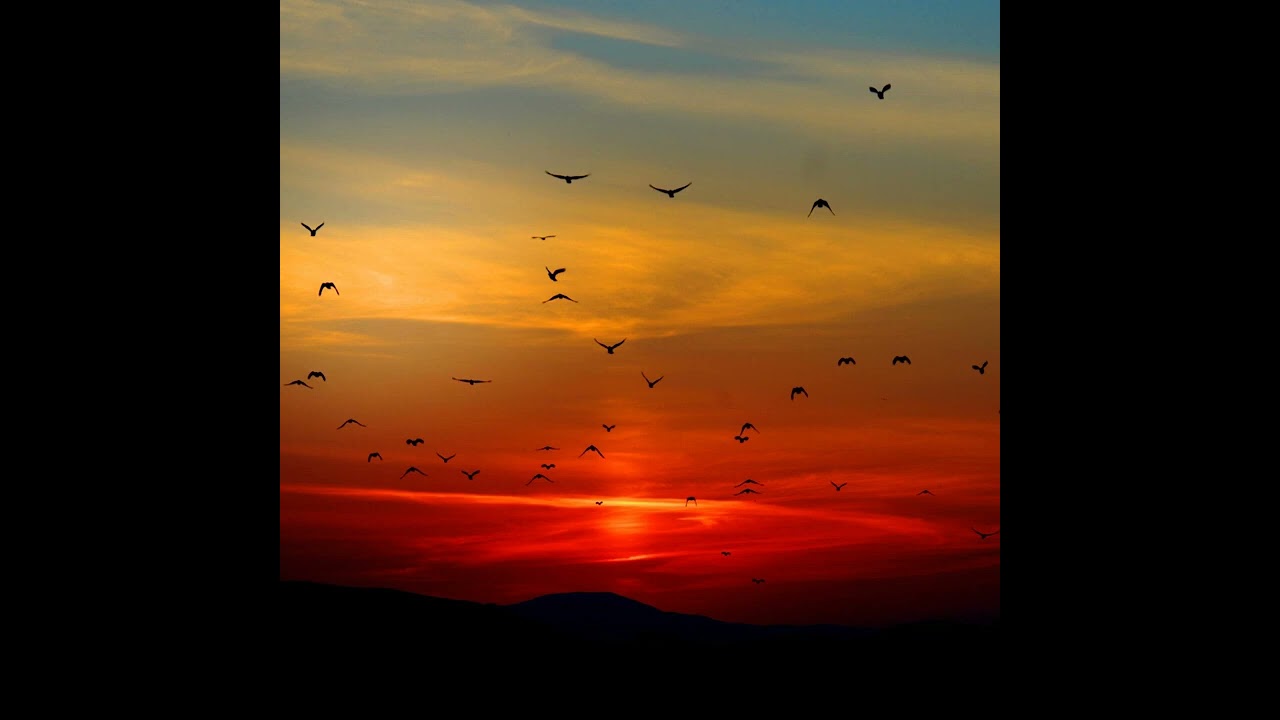 Faerii - The Need To Disappear (Solo Piano Version)