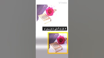#اللهم اجعل القرآن الكريم ربيع قلوبنا نور صدورنا🤍