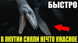 Сколько Еще Терпеть !!! Проклятый Народ!!!