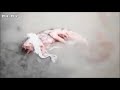 【奇妙】変な生き物！何だこれは！説明つかない画像が･･･【怪奇】
