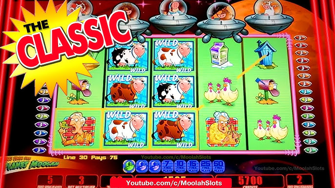 casino app template