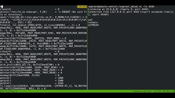 Reverse TCP shell authentication with strace