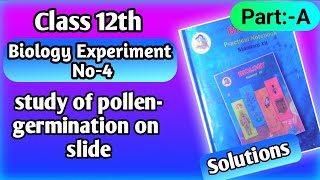 Biology experiment no 3 solutions Study of pollen germination on slide.#class12thbiology Biology experiment no 3 solutions Study of pollen germination on slide.#class12thbiology