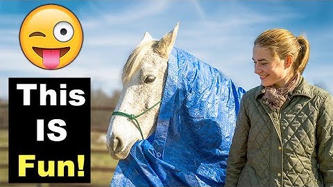 INTRODUCING OBJECTS TO A HORSE (PART 1) 🐴