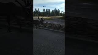 VID 20220809 080739