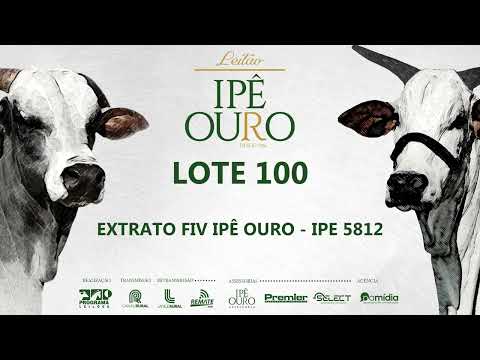 LOTE 100   IPE 5812