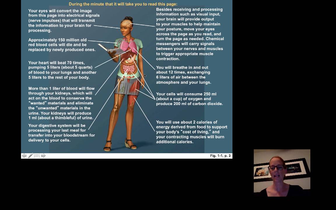 BIO6 Lecture 1 IntroHomeostasis