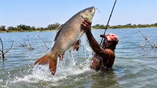 Big Rohu fishing in River | many Rohu fishes catch with singal hook |   