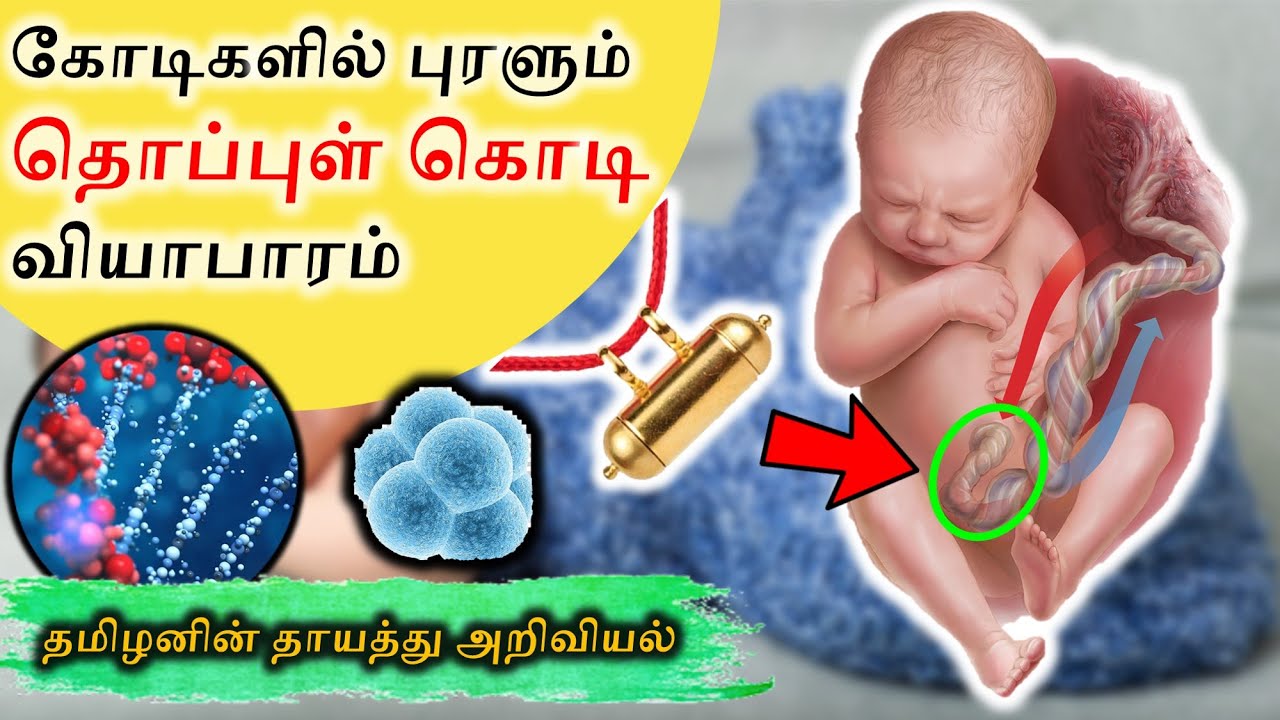 Stem Cell Storage Good Or Bad SangathamizhanTV Tamil YouTube