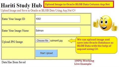 Upload and Save Image in Oracle Database as BLOB Data Asp.Net C# | Hindi | Free Online Learning Code