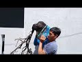 M94 gl siêu phẩm cẩm thị đổ thiên nhiên đế đẹp lh0328223556