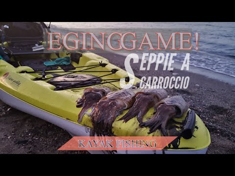 SEPPIE A SCARROCCIO prima uscita con SEPPIE GROSSE! - KAYAK FISHING - egi yamashita