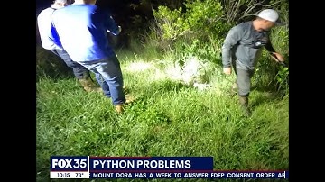 The Python Challenge