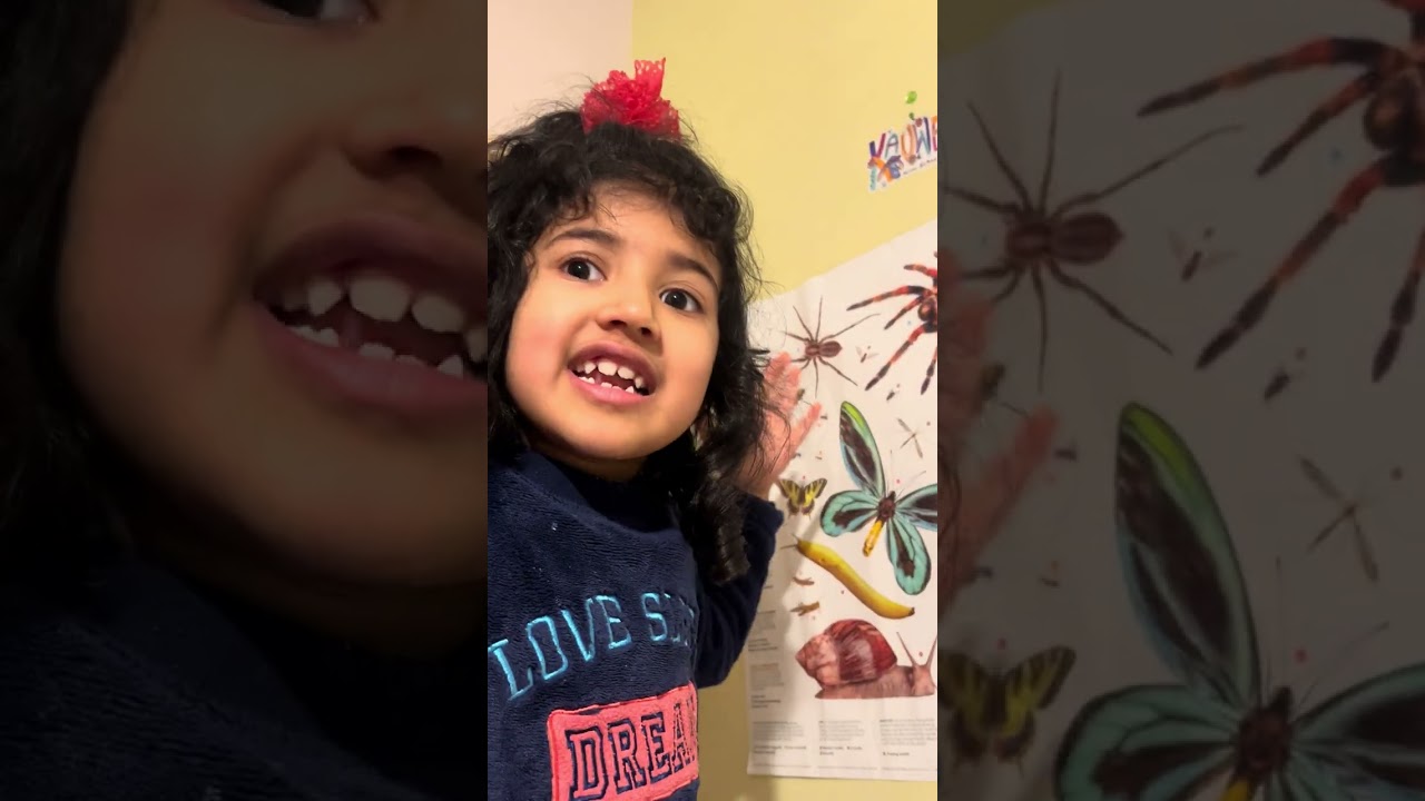 Tiny Teacher Teaches Mumma About Insects  |@littlekuku 
