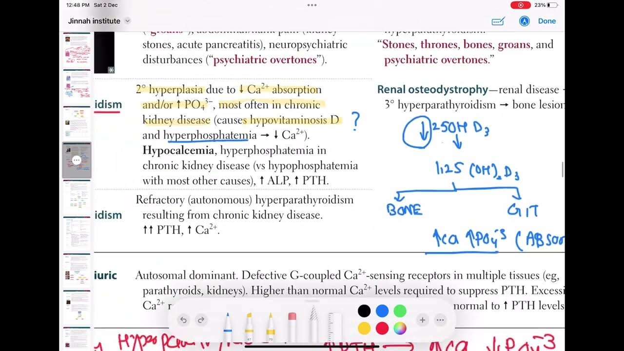 secondary hyperparathyroidism endocrinology 57 First Aid USMLE Step